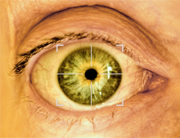 An image of a wide open eye with a cross hair on it indicating the iris is being scanned, it is a bit sic-fi and disturbing, quite blood shot