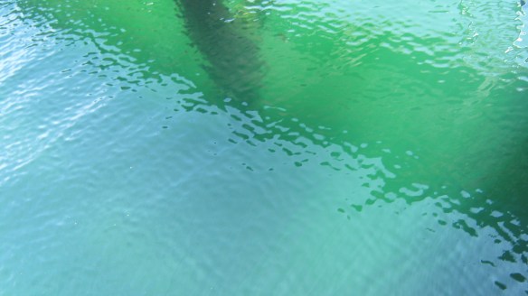 The water is greener here with a strip of darker green and a pattern on the edges of the strip