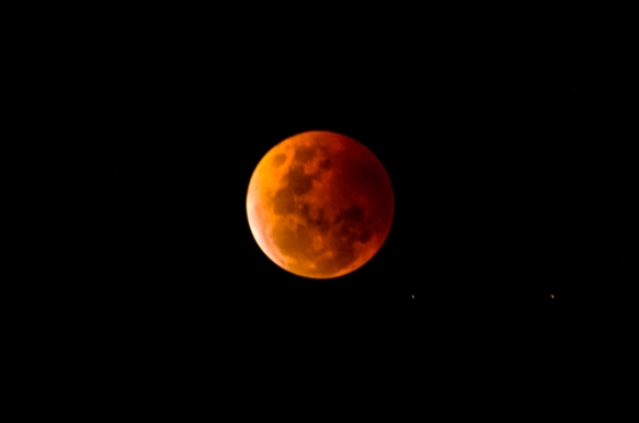 A full moon with a reddish orange cast in the night sky